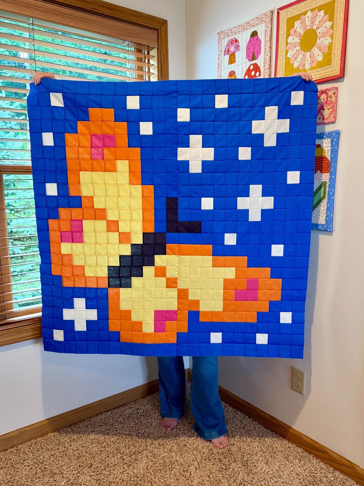 Butterfly Dreams Baby Quilt